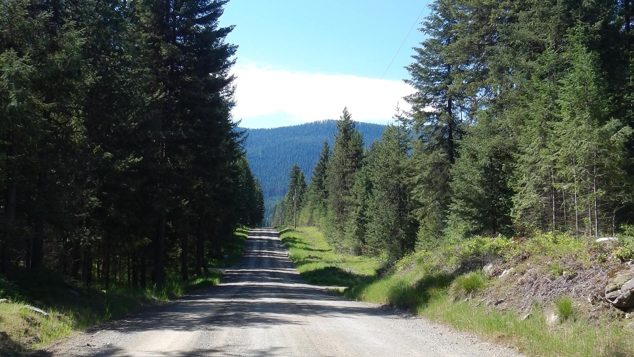 Photo of Others in Trout Creek