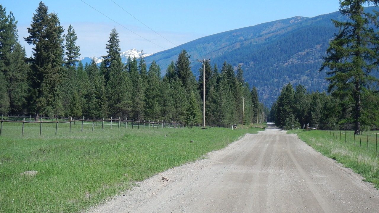 Photo of Others in Trout Creek