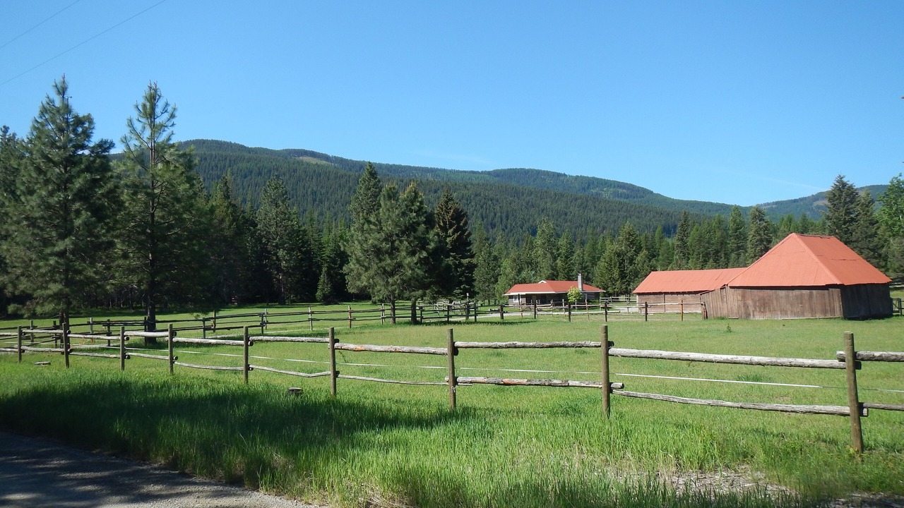 Photo of Others in Trout Creek