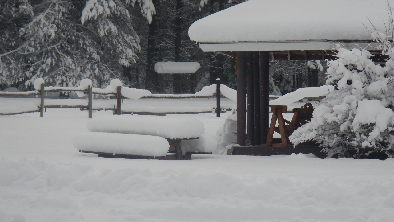 Photo of Others in Trout Creek
