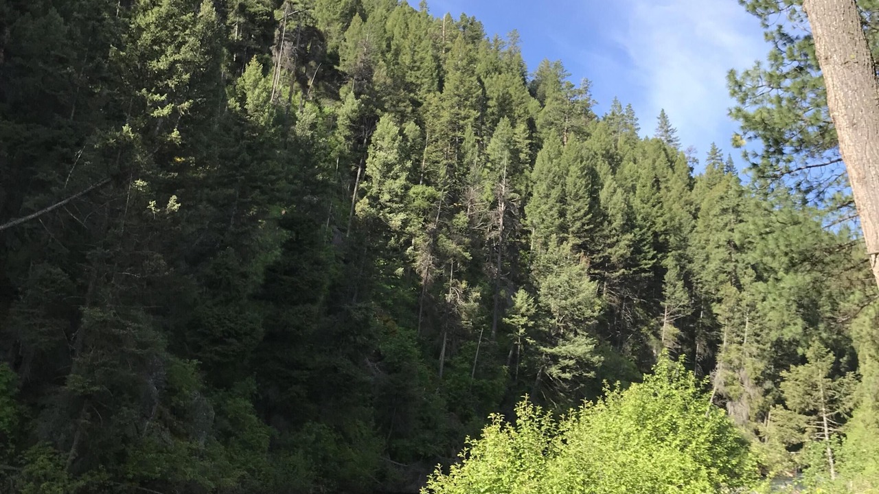Photo of Outdoor in Darby