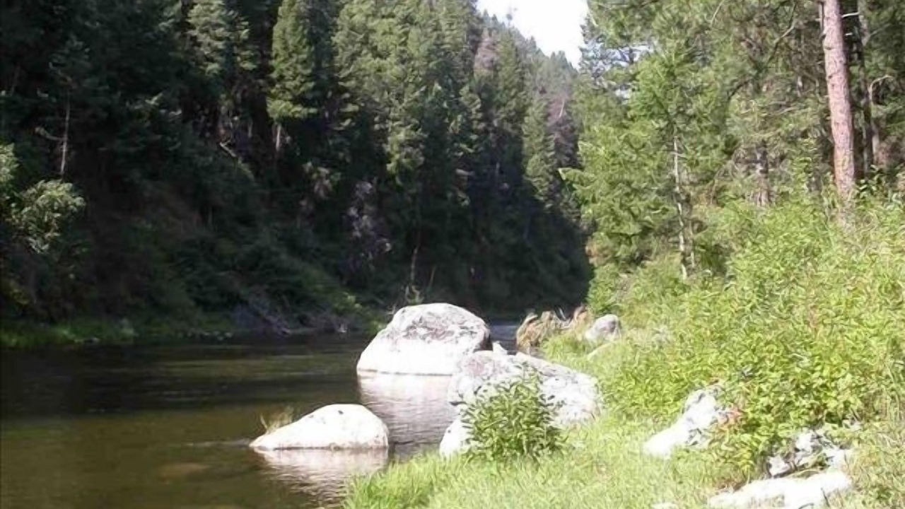Photo of Others in Darby