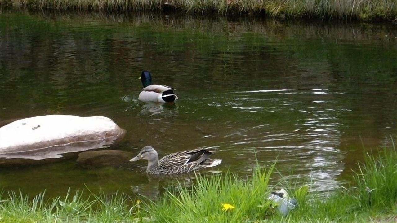 Photo of Others in Upper Rattlesnake