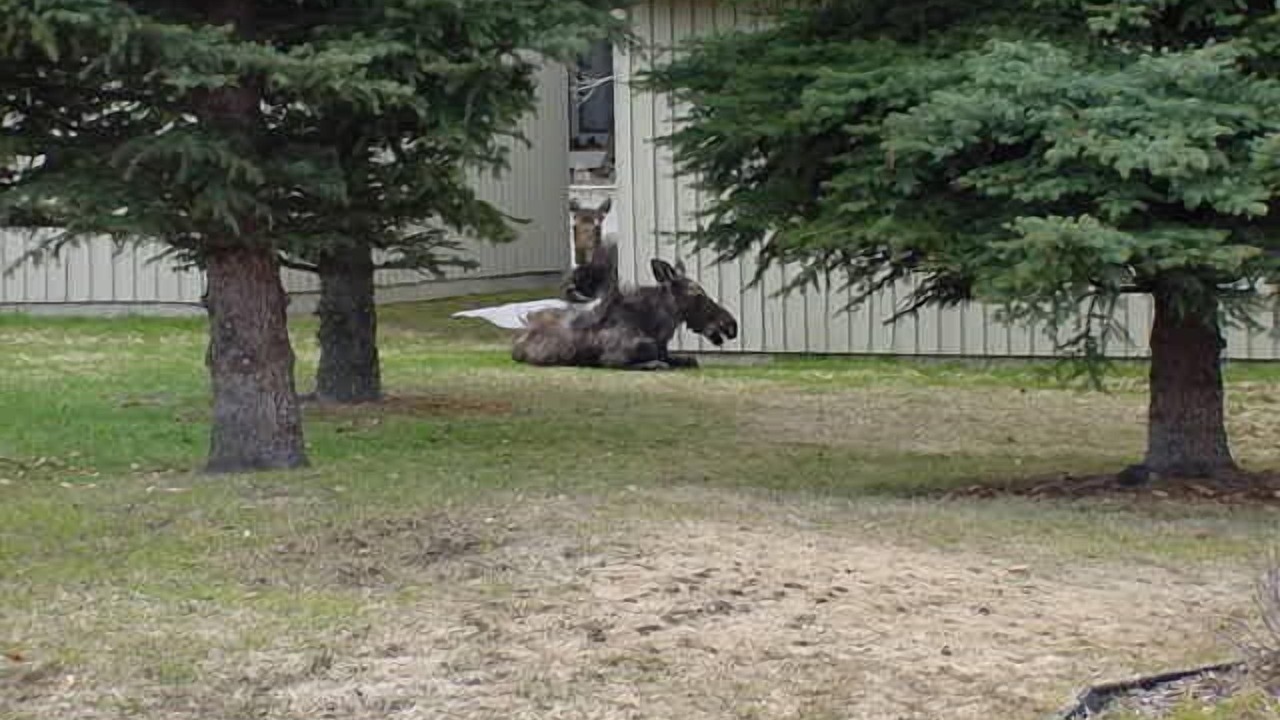 Photo of Others in Big Sky Meadow Village