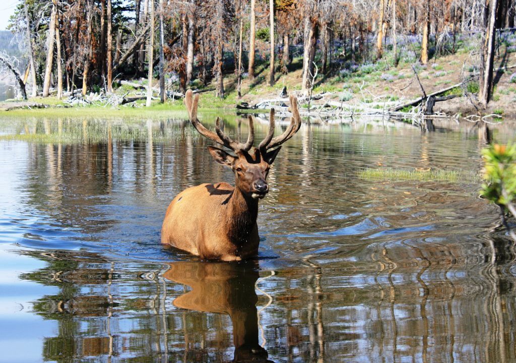 Photo of Outdoor in Cameron