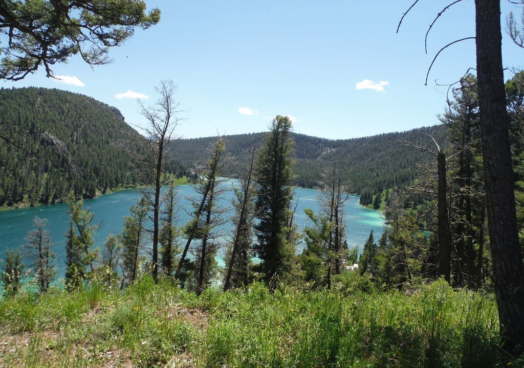 Photo of Outdoor in Cameron