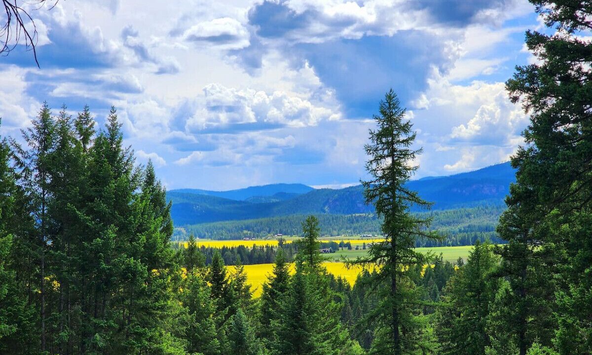 Photo of Outdoor in Whitefish
