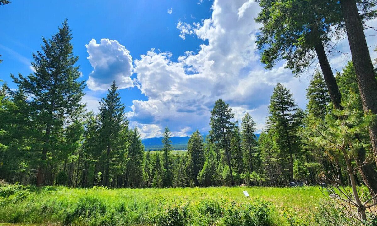 Photo of Others in Whitefish