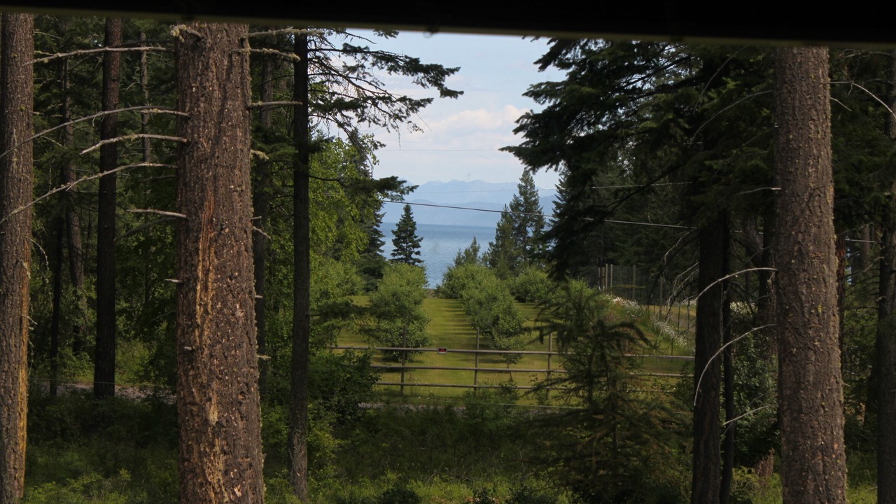 Photo of Outdoor in Finley Point