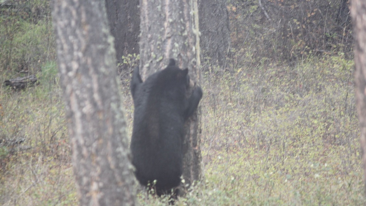 Photo of Others in Finley Point