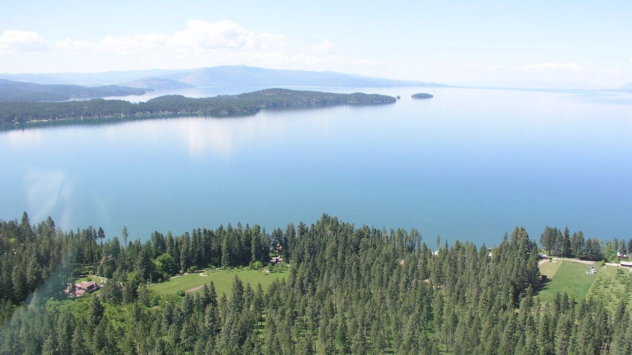 Photo of Others in Finley Point