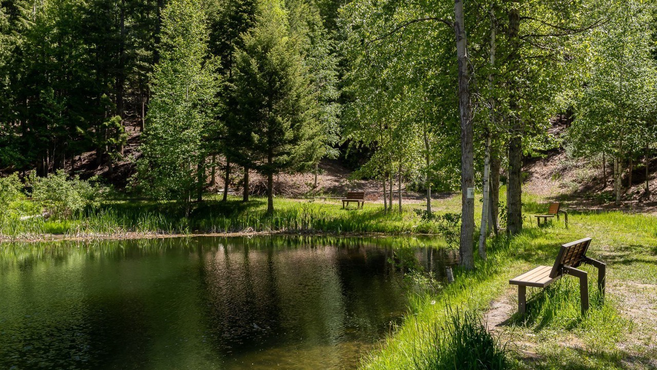 Photo of Others in Whitefish