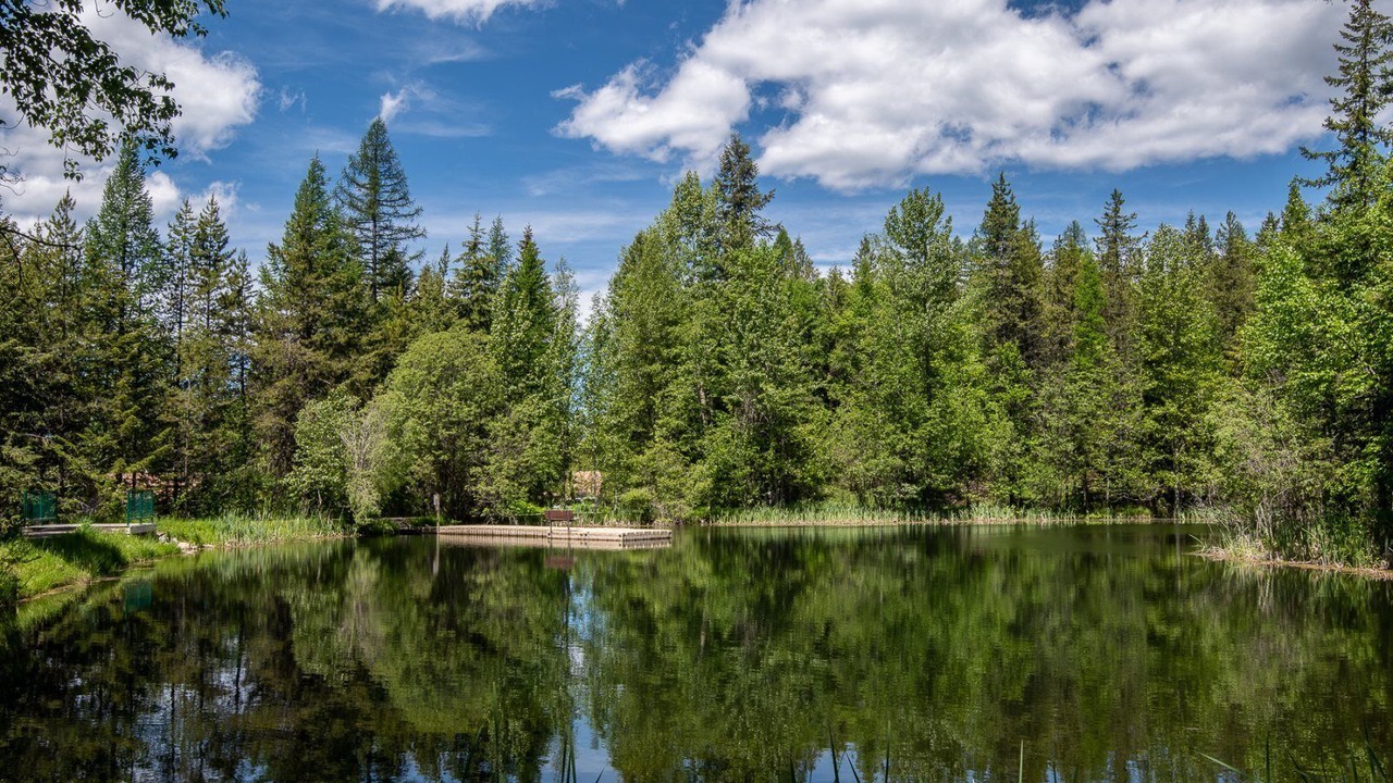Photo of Others in Whitefish