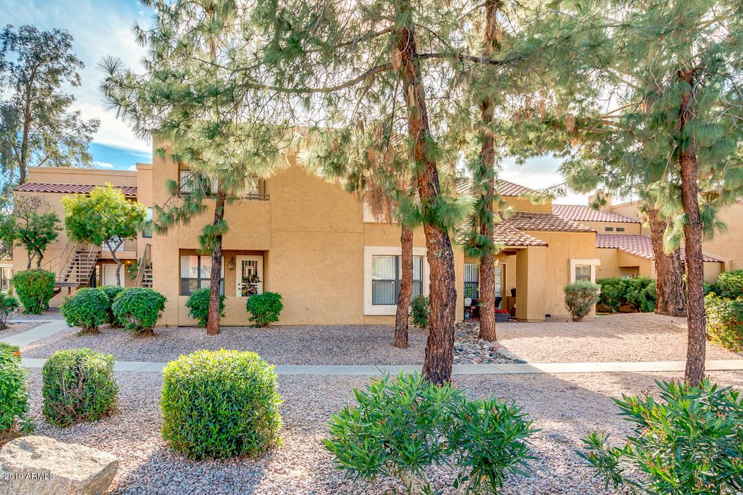 Photo of Outdoor in Central Scottsdale