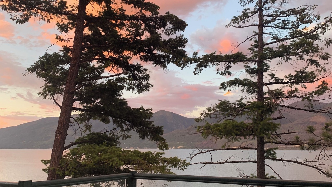 Photo of Outdoor in Finley Point