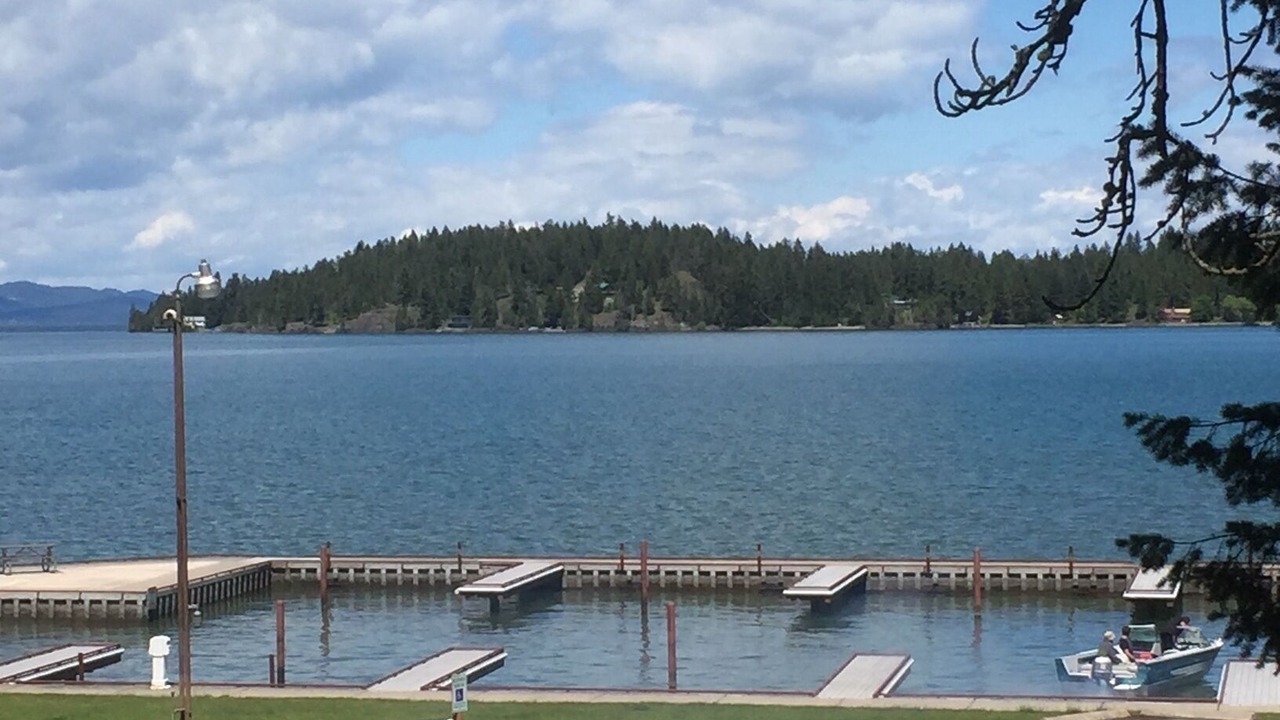 Photo of Others in Finley Point
