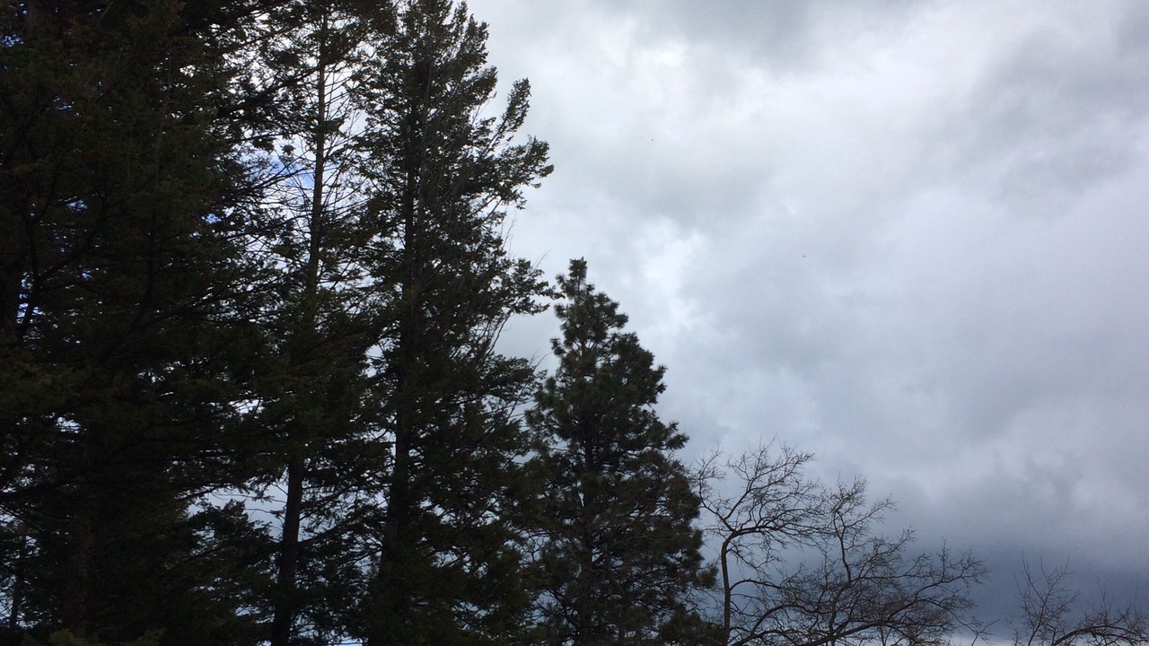 Photo of Others in Lakeside