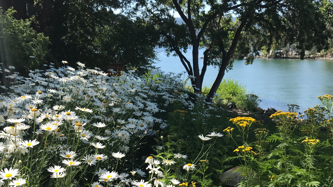 Photo of Outdoor in Lakeside