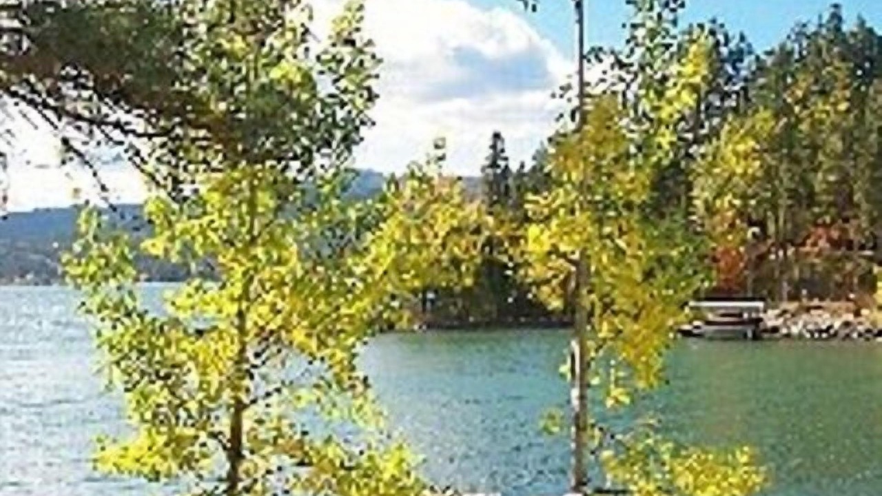 Photo of Bedroom in Lakeside