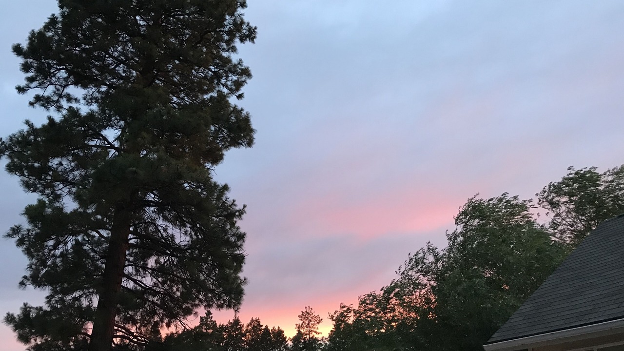 Photo of Others in Lakeside