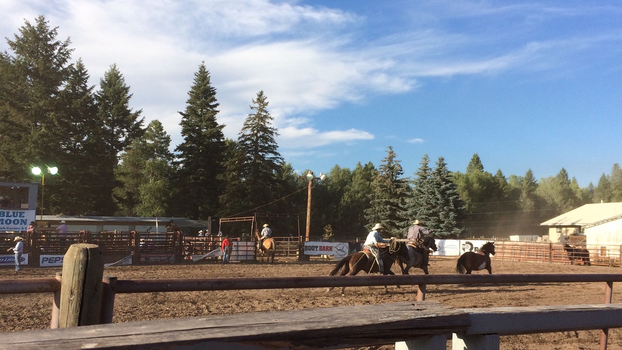 Photo of Outdoor in Lakeside