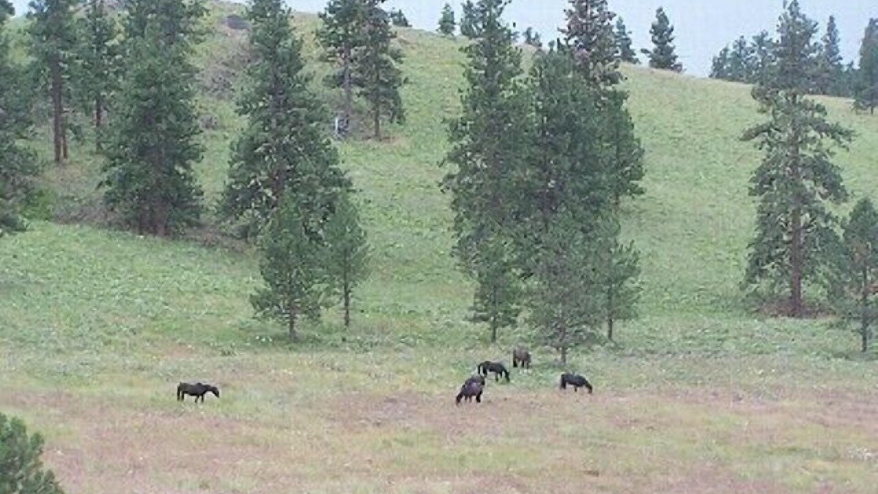 Photo of Others in Lakeside