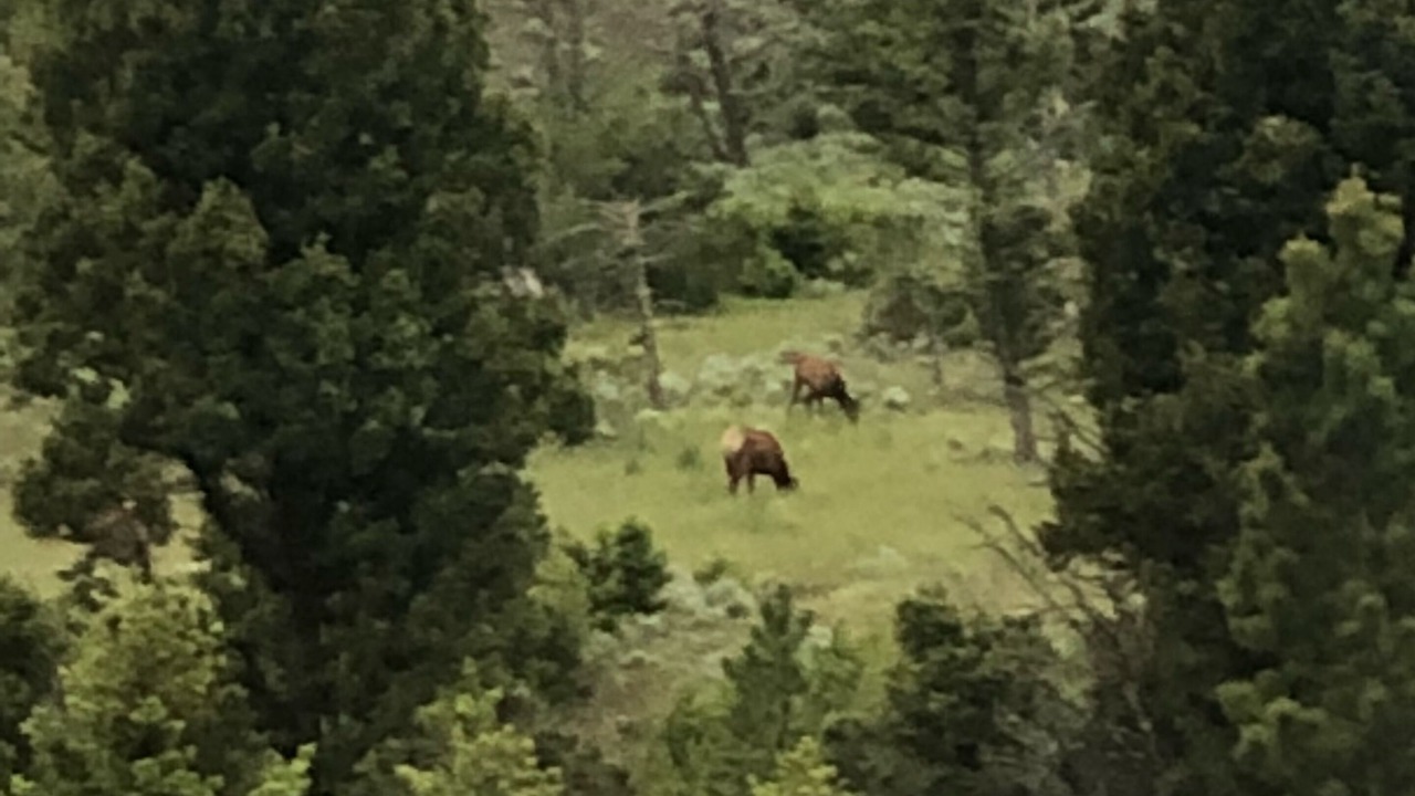 Photo of Others in White Sulphur Springs