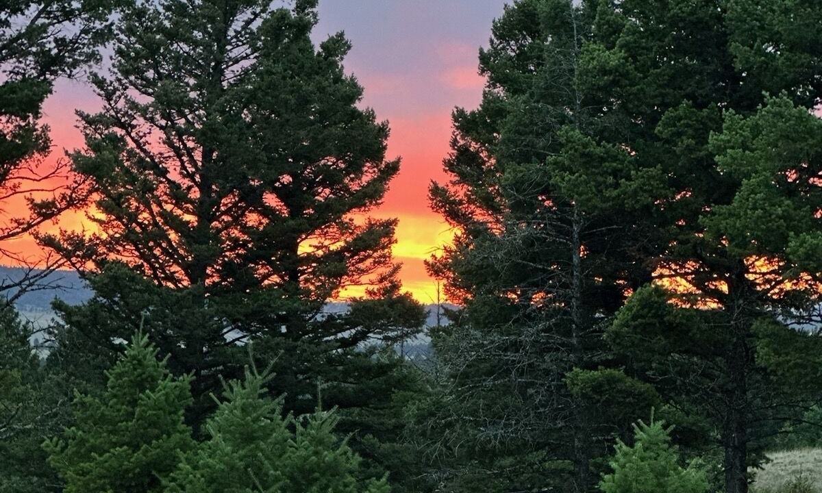 Photo of Outdoor in White Sulphur Springs
