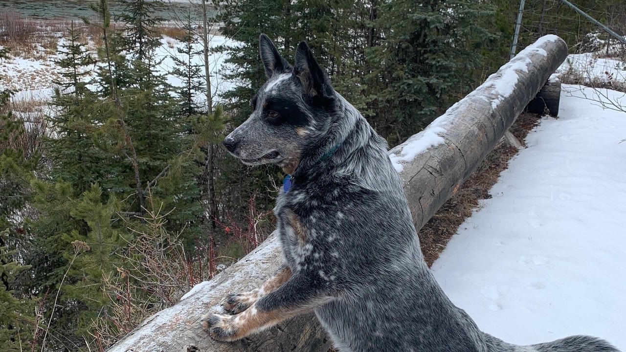 Photo of Others in Polebridge