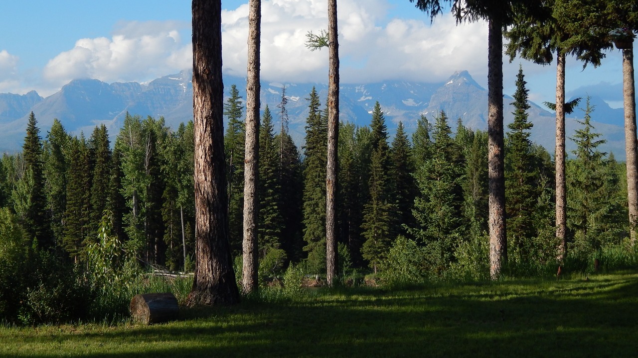 Photo of Others in Polebridge