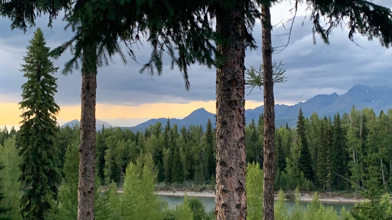 Photo of Others in Polebridge