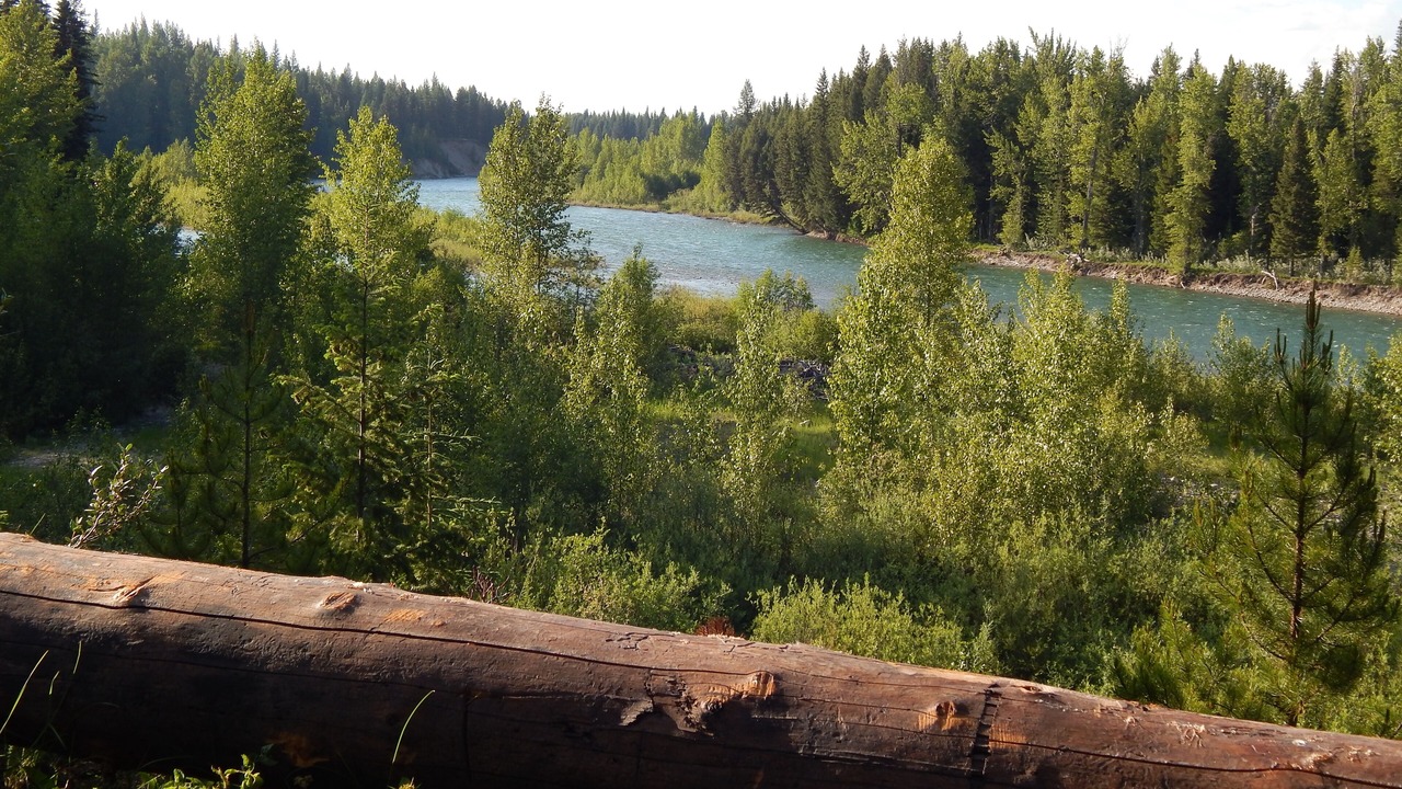 Photo of Others in Polebridge