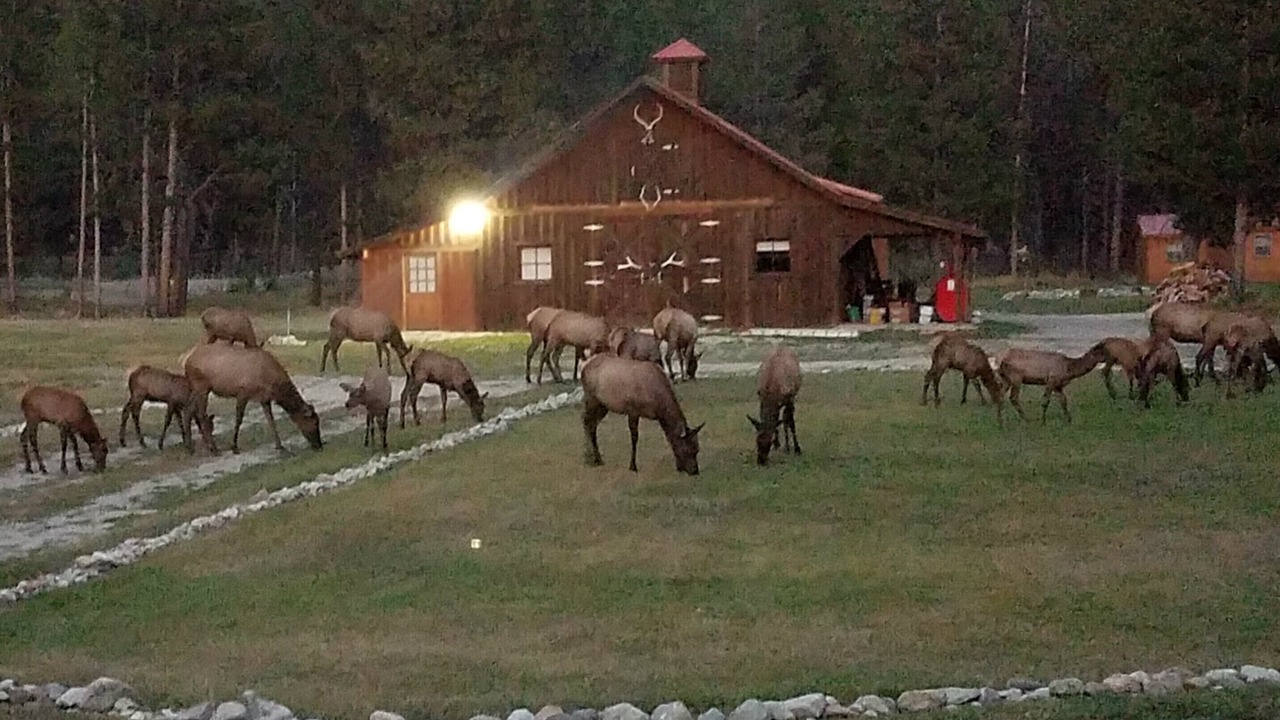 Photo of Outdoor in Darby