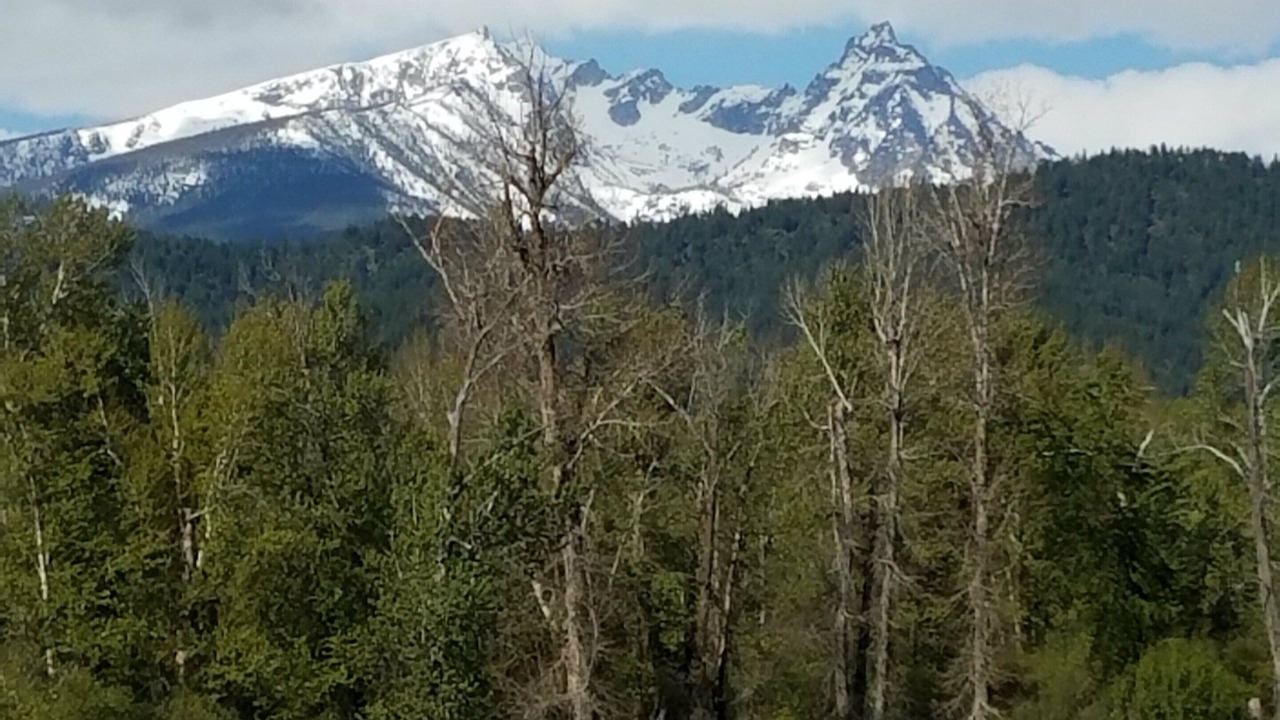 Photo of Outdoor in Darby