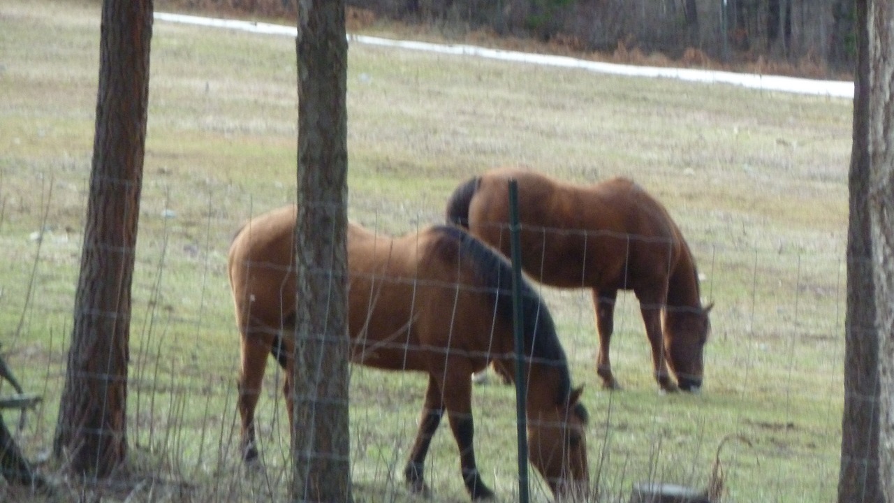 Photo of Others in Polson