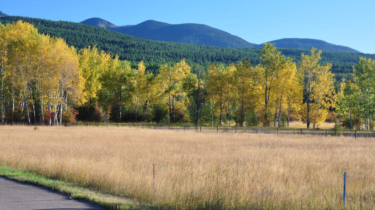 Photo of Others in Whitefish