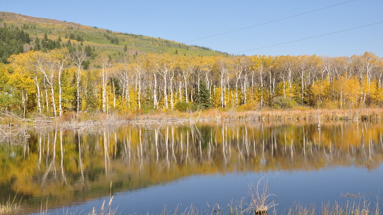 Photo of Others in Whitefish