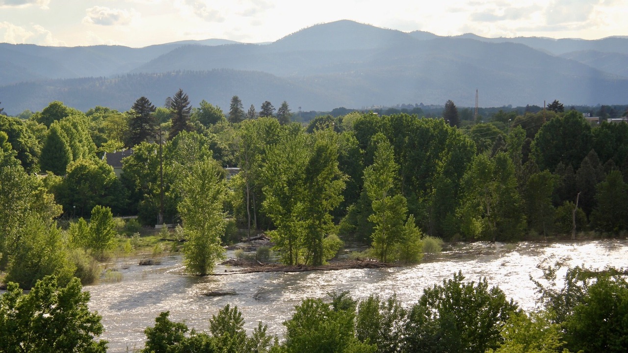 Photo of Others in Heart of Missoula