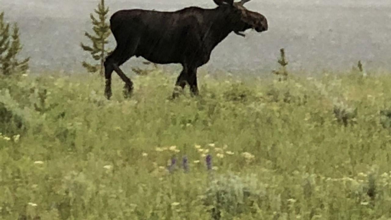 Photo of Outdoor in Big Horn
