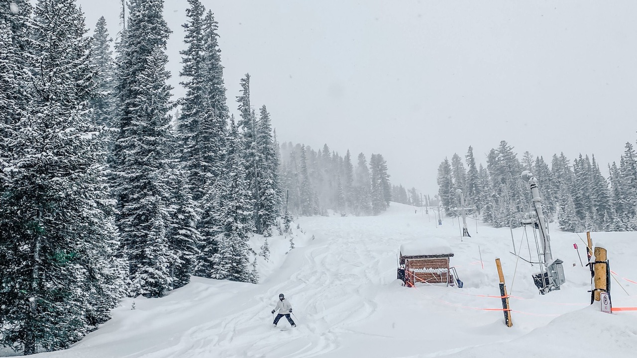 Photo of Others in Big Horn