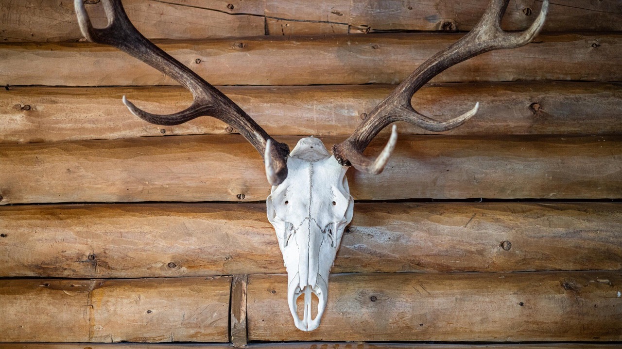 Photo of Others in Red Lodge