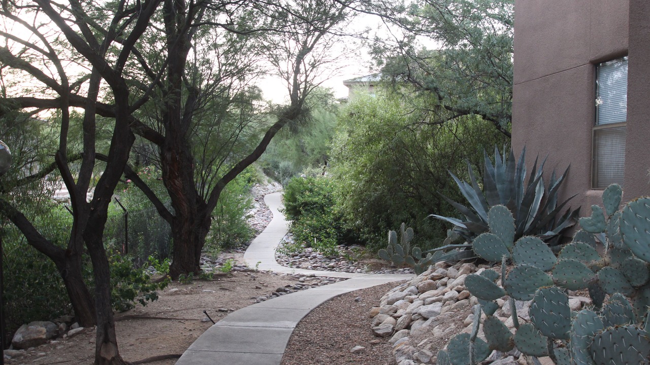 Photo of Others in Tucson