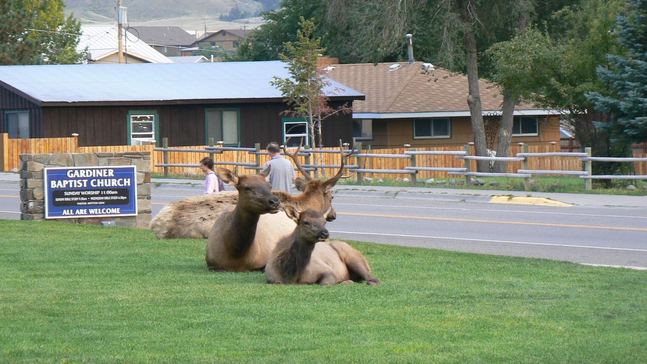 Photo of Others in Gardiner