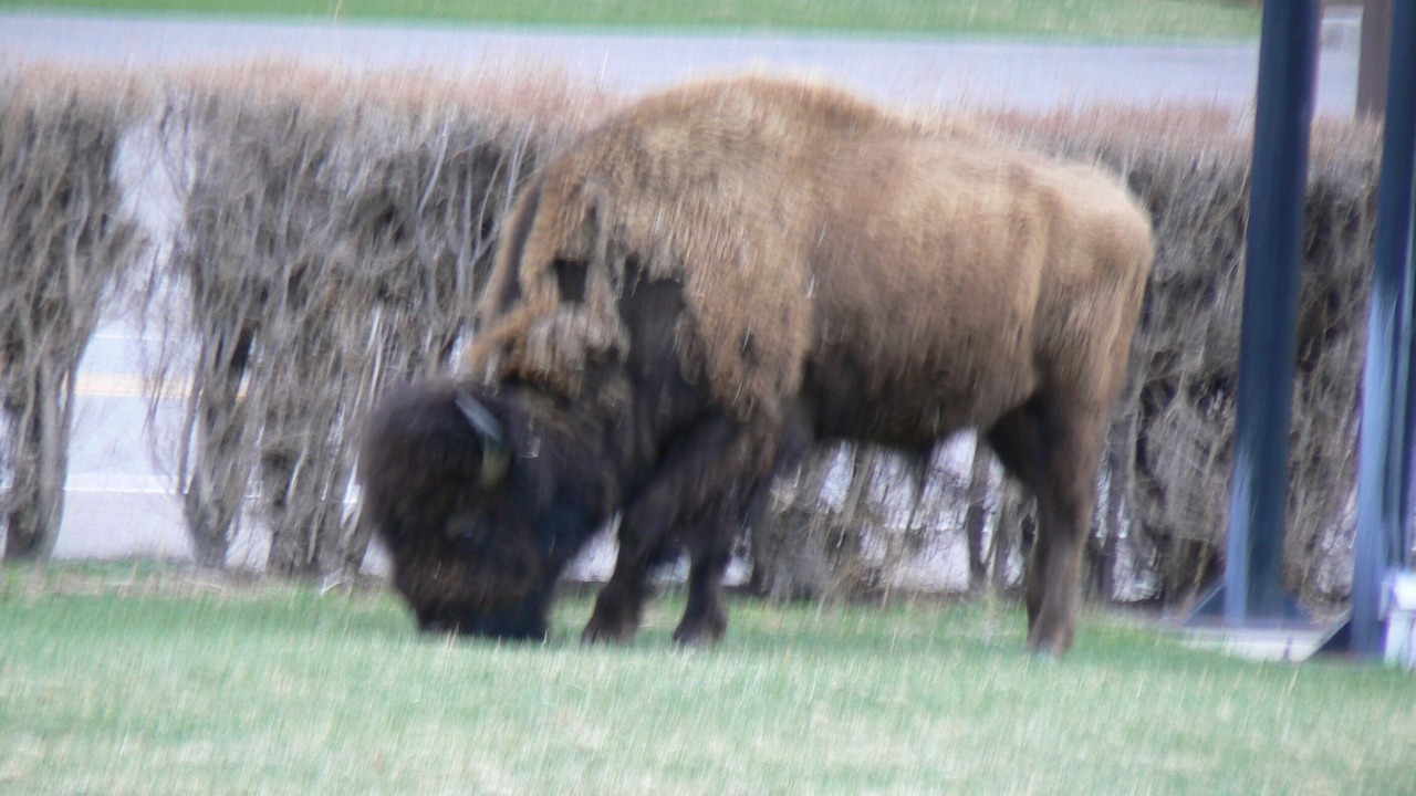 Photo of Others in Gardiner