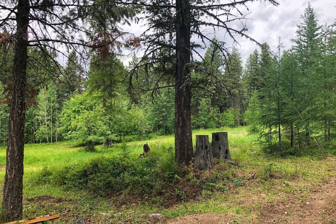 Photo of Outdoor in Eureka