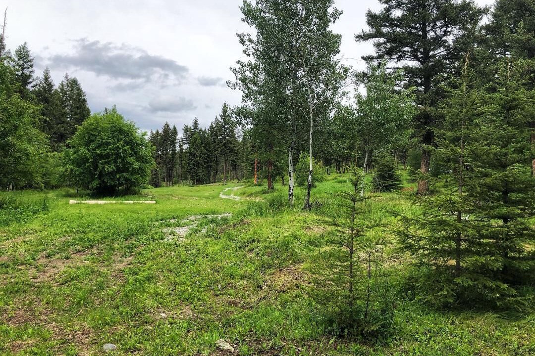 Photo of Outdoor in Eureka