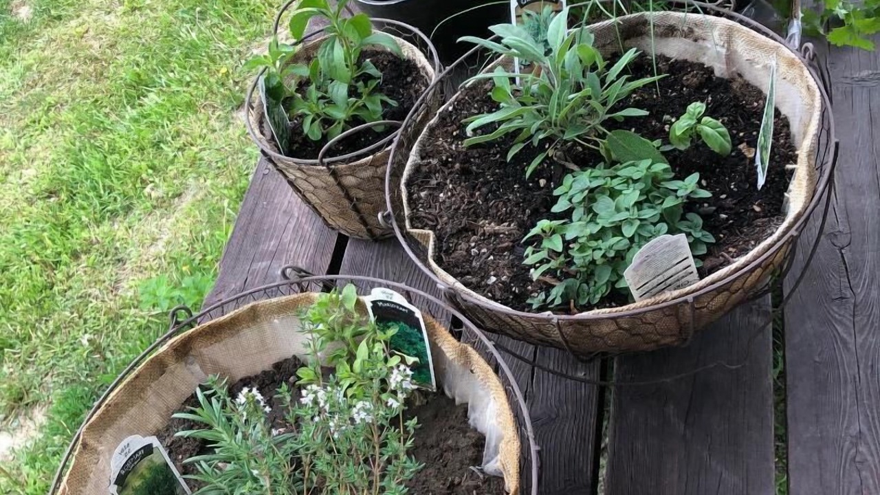 Photo of Outdoor in Eureka