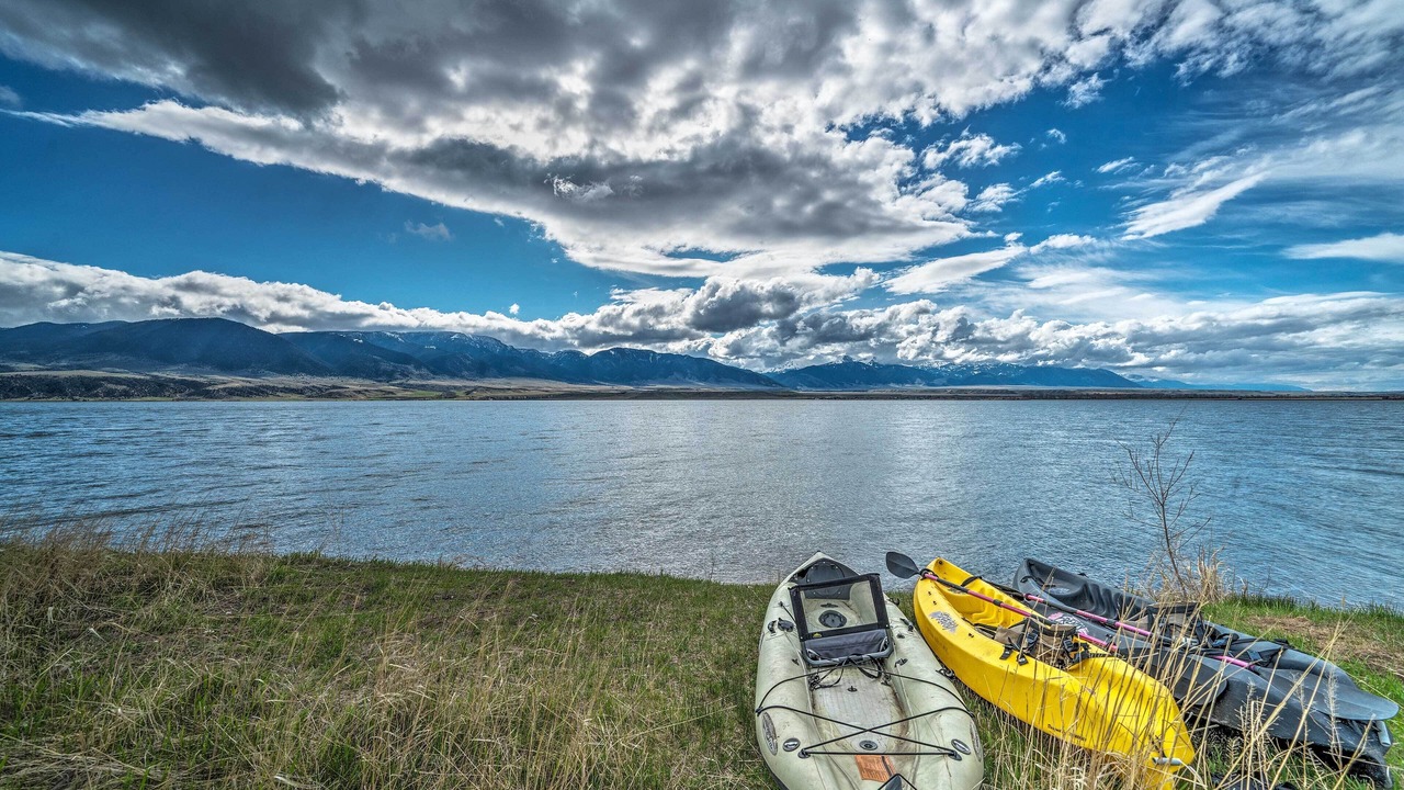 Photo of Others in McAllister