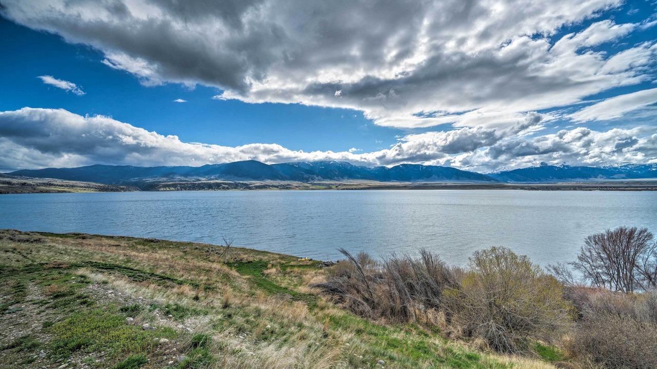 Photo of Others in McAllister