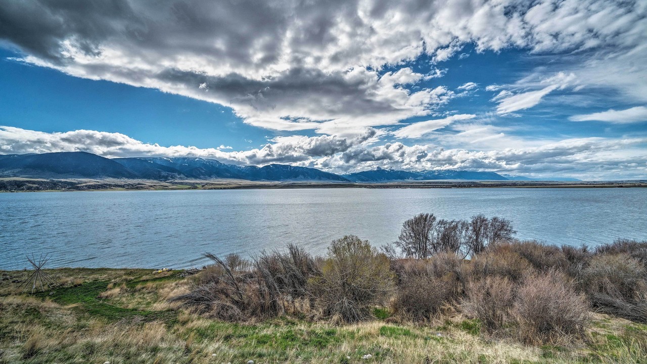 Photo of Outdoor in McAllister